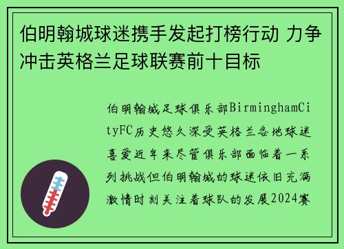 伯明翰城球迷携手发起打榜行动 力争冲击英格兰足球联赛前十目标